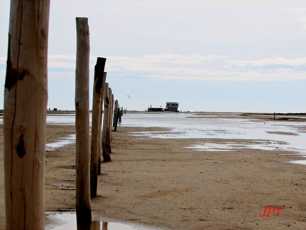 La franqui Eté 2015