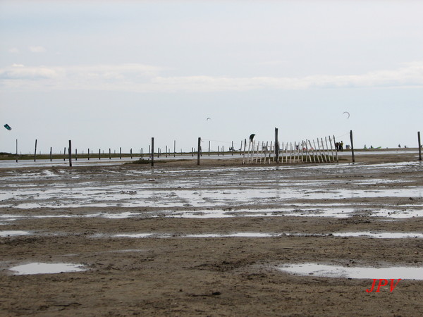 La franqui Eté 2015